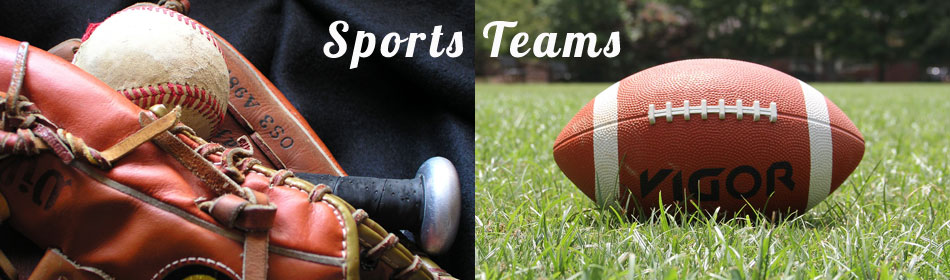 Sports teams, football, baseball, hockey, minor league teams in the Glenside, Montgomery County PA area